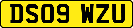 DS09WZU