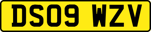 DS09WZV