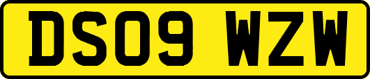 DS09WZW