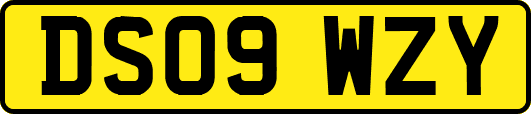 DS09WZY