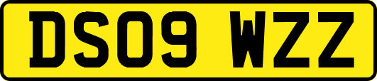 DS09WZZ
