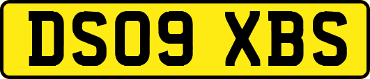 DS09XBS