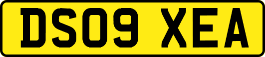 DS09XEA