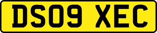 DS09XEC