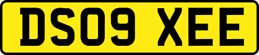 DS09XEE