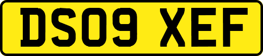 DS09XEF