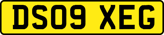 DS09XEG