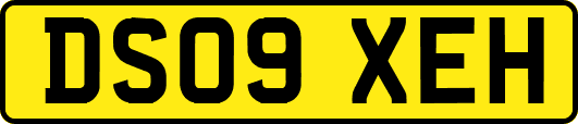 DS09XEH