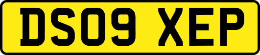 DS09XEP