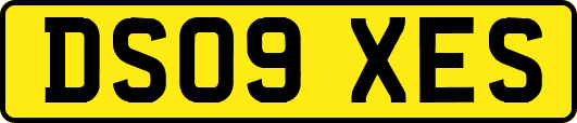DS09XES