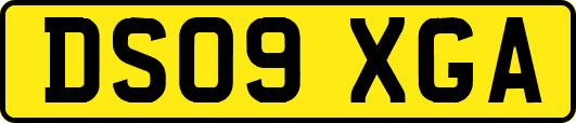 DS09XGA
