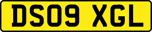DS09XGL