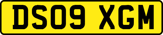 DS09XGM