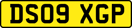 DS09XGP