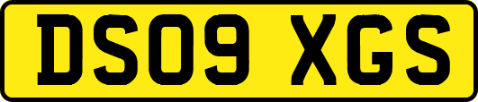 DS09XGS