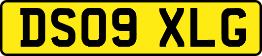 DS09XLG