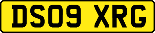 DS09XRG