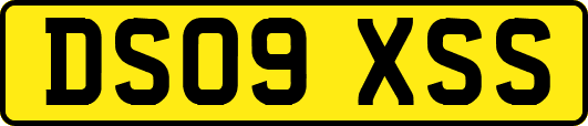 DS09XSS