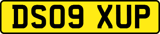 DS09XUP