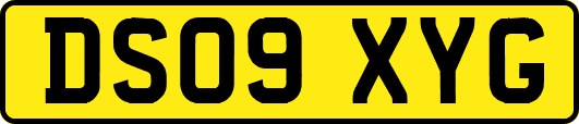 DS09XYG