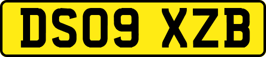 DS09XZB