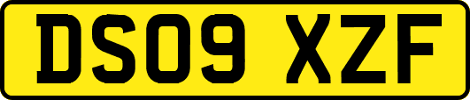 DS09XZF