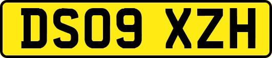 DS09XZH