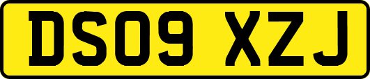 DS09XZJ