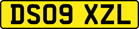 DS09XZL
