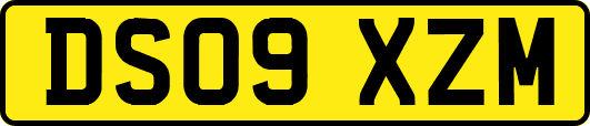 DS09XZM