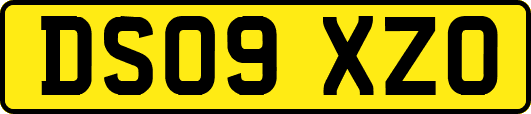 DS09XZO