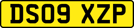 DS09XZP