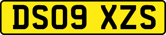 DS09XZS