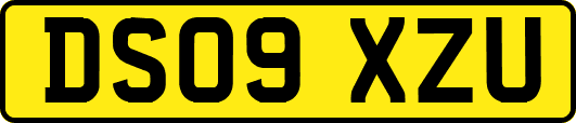 DS09XZU