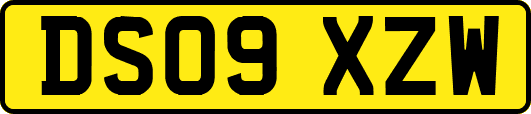 DS09XZW