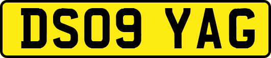 DS09YAG