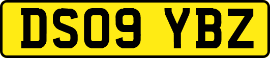 DS09YBZ