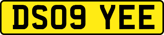 DS09YEE