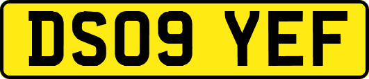 DS09YEF