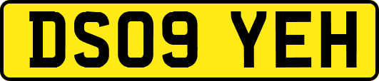DS09YEH