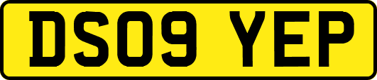 DS09YEP