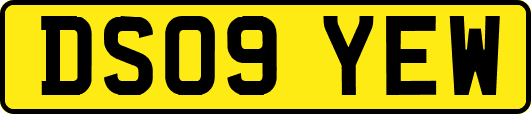 DS09YEW