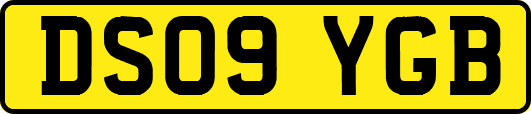 DS09YGB