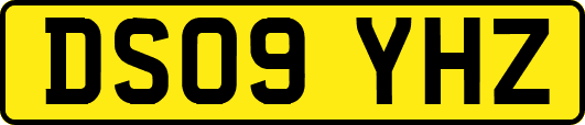 DS09YHZ