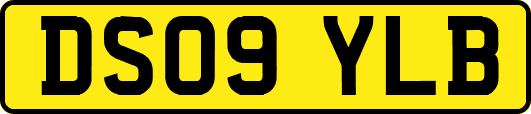 DS09YLB