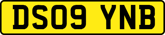DS09YNB