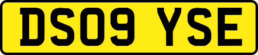 DS09YSE