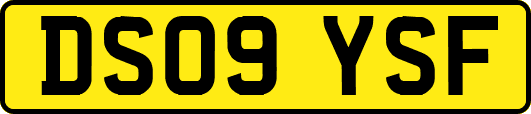 DS09YSF