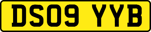 DS09YYB