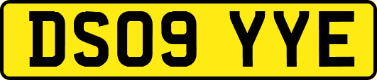 DS09YYE